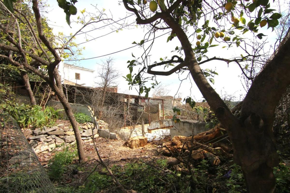 Terreno en venta en Alozaina, Malaga photo 4