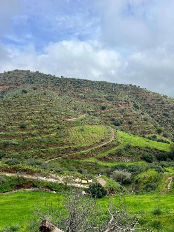 Terreno en venta en Casarabonela, Malaga photo 3