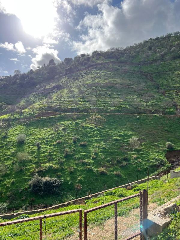 Terreno en venta en Casarabonela, Malaga photo 4