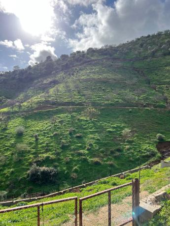 Terreno en calle Cancula, 1 photo 4