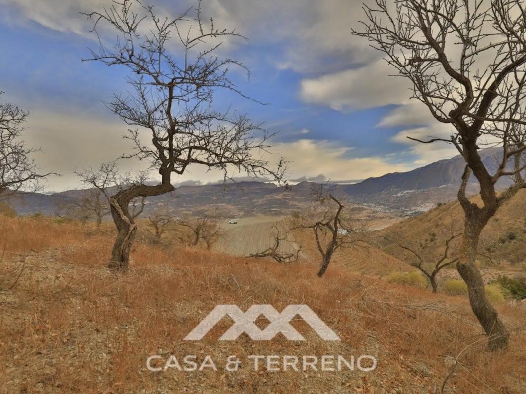 Terreno en venta en Viñuela, Malaga photo 4