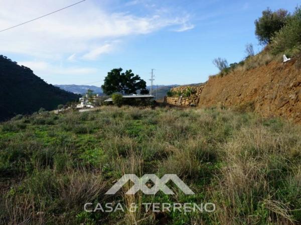 Terreno en Canillas de Aceituno photo 1