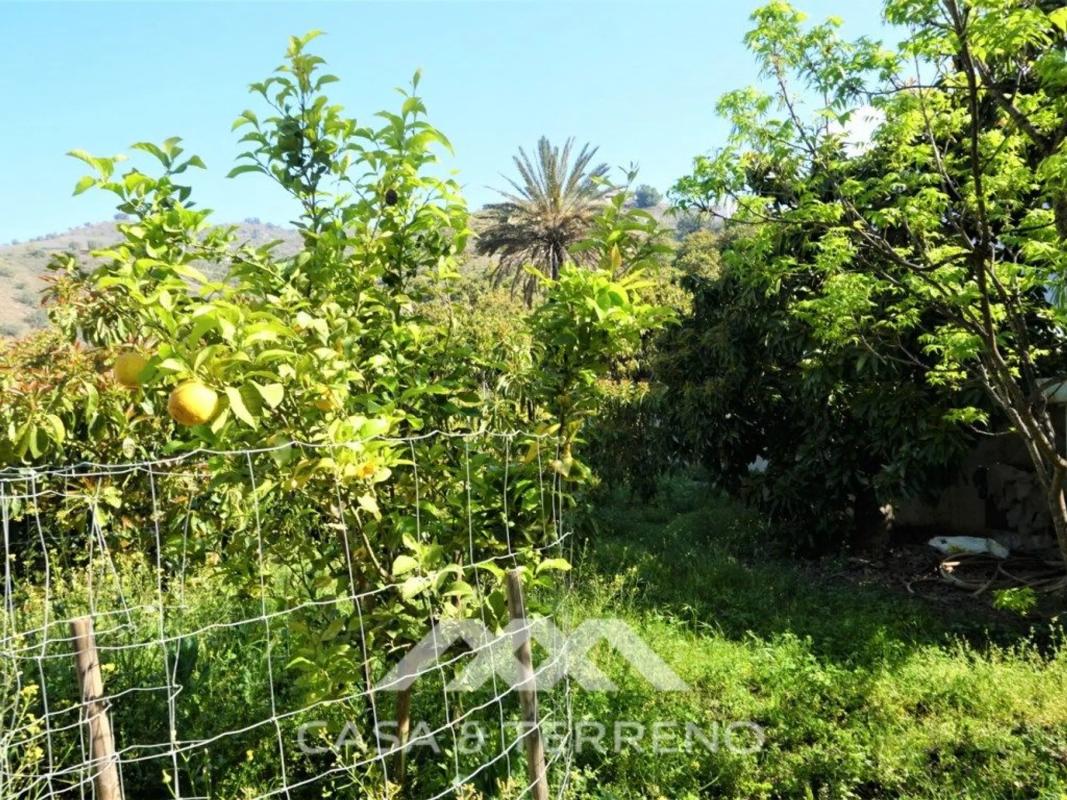 Terreno en venta en Canillas de Aceituno, Malaga photo 4