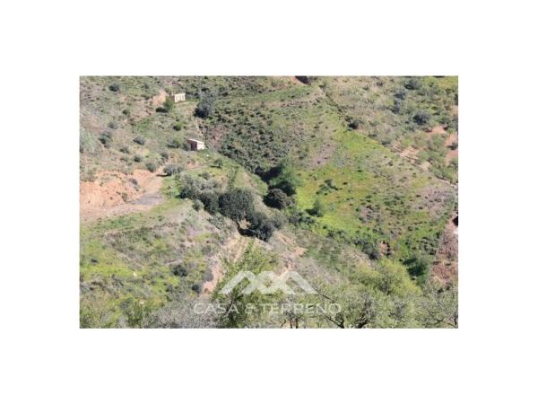 Terreno en El Borge photo 2