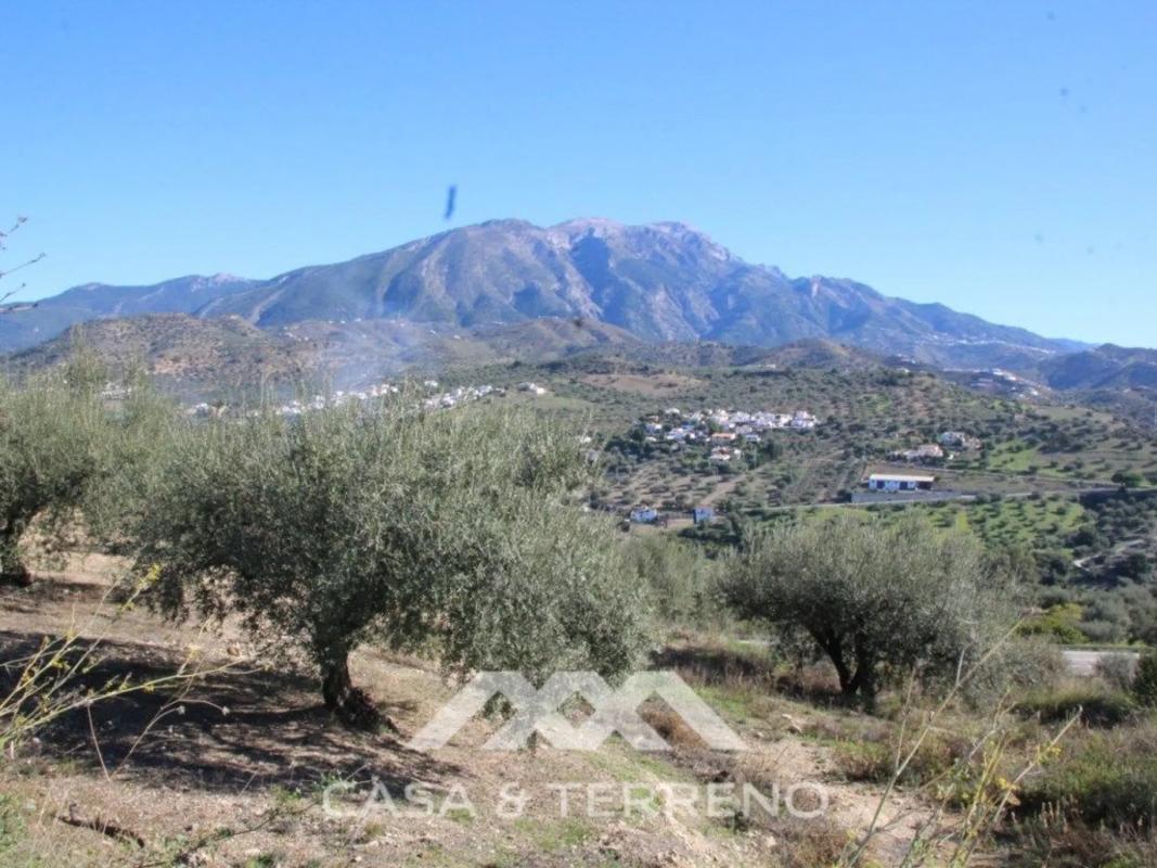 Terreno en venta en Viñuela, Malaga photo 3