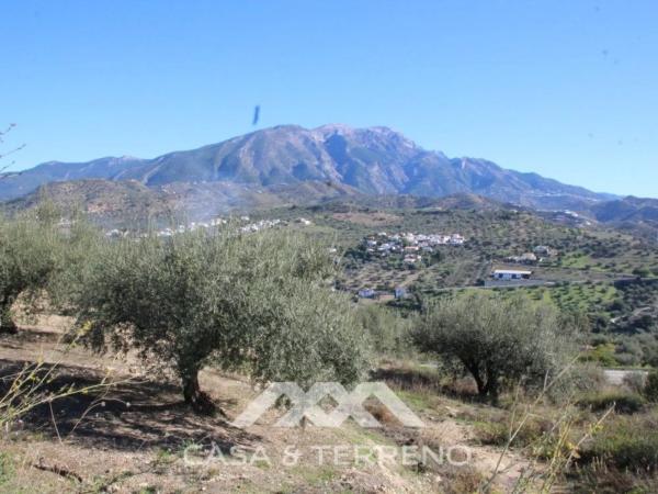 Terreno en Viñuela thumbnail 2
