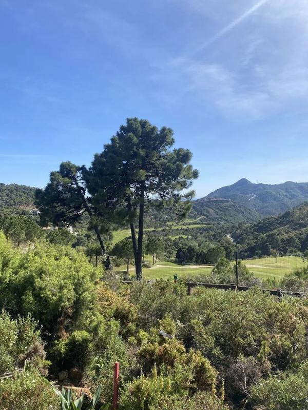 Terreno en venta en Benahavís, Malaga photo 2