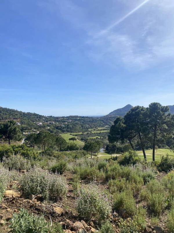 Terreno en venta en Benahavís, Malaga photo 5