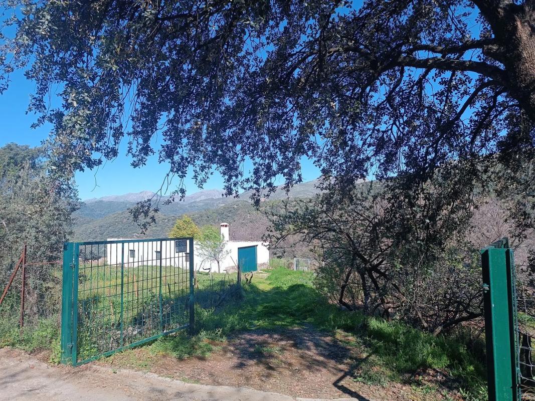 Terreno en venta en Farajan, Malaga photo 2
