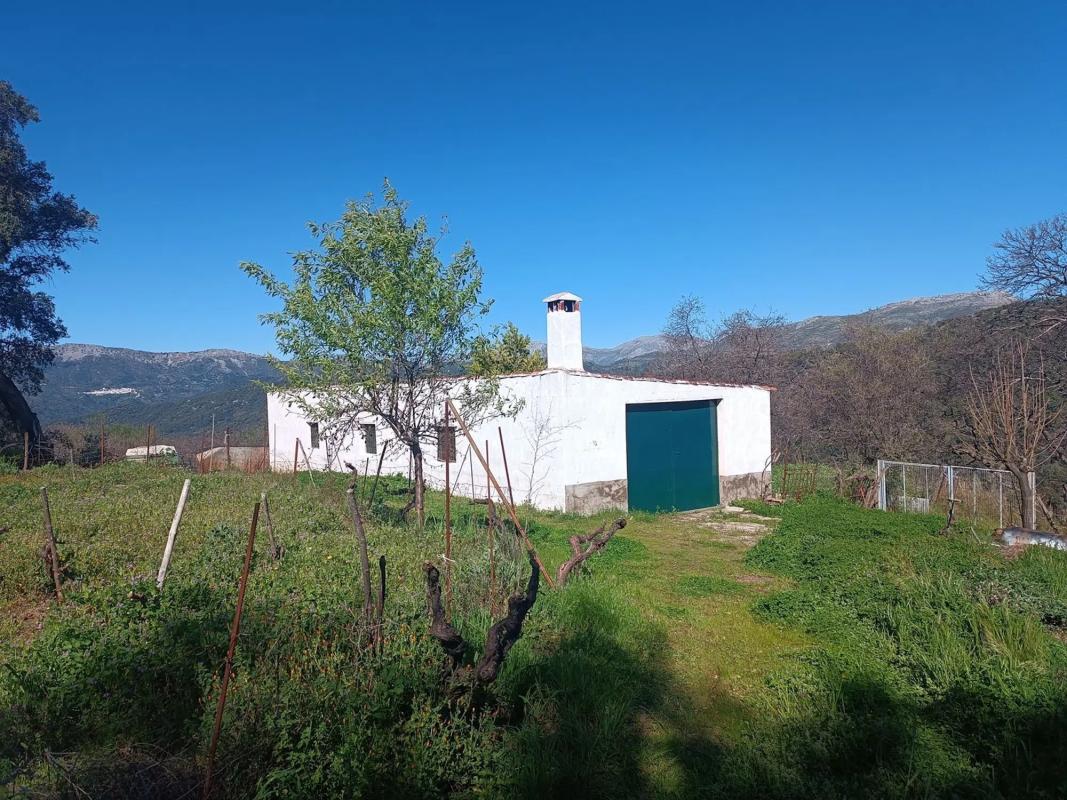 Terreno en venta en Farajan, Malaga photo 3