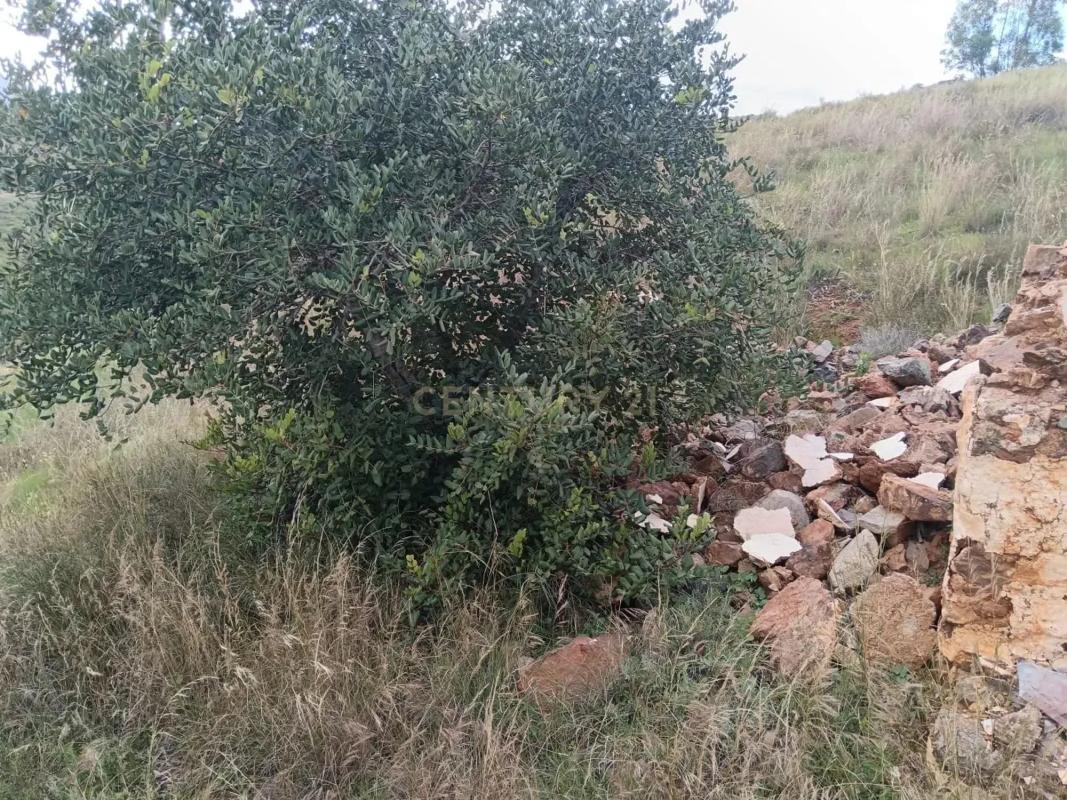 Terreno en venta en Mijas, Malaga photo 2