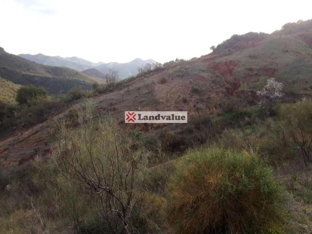 Terreno en venta en Almogía, Malaga photo 5