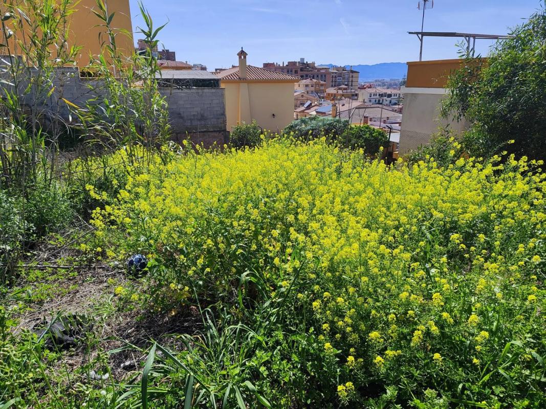 Land for sale in Málaga, Malaga photo 4