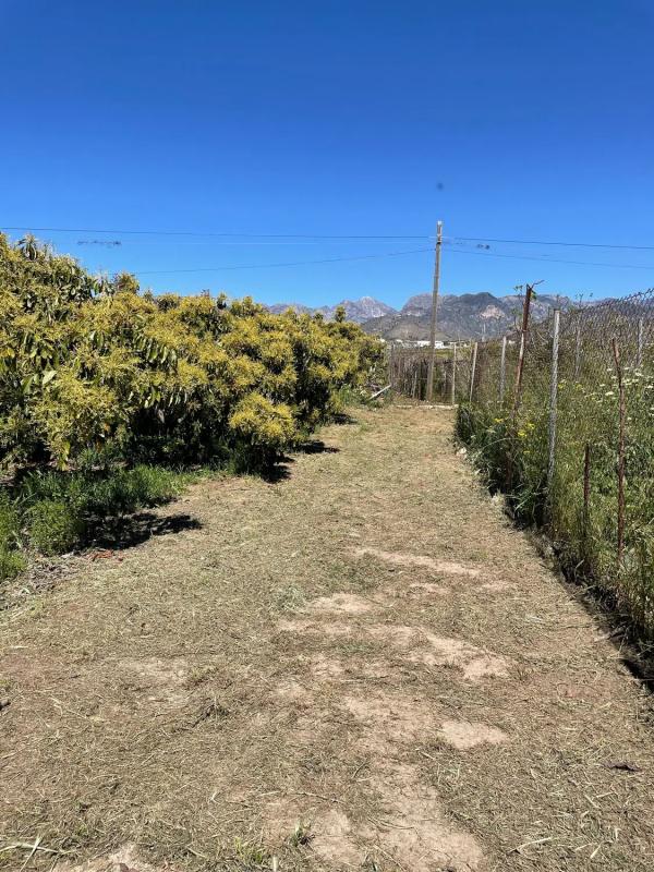 Land for sale in Nerja, Malaga photo 3