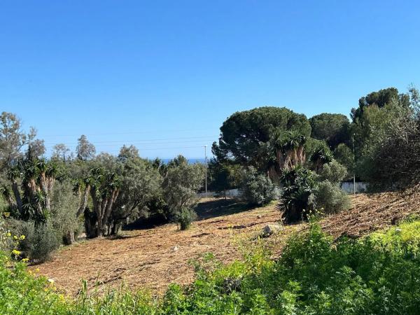 Terreno en avenida Buchinger photo 2
