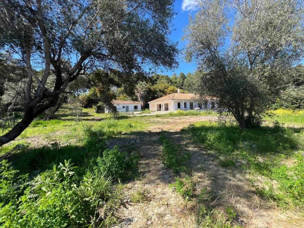 Terreno en venta en Marbella, Malaga photo 5