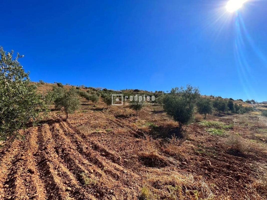 Участок земли на продажу в Касабермеха, Малага photo 3