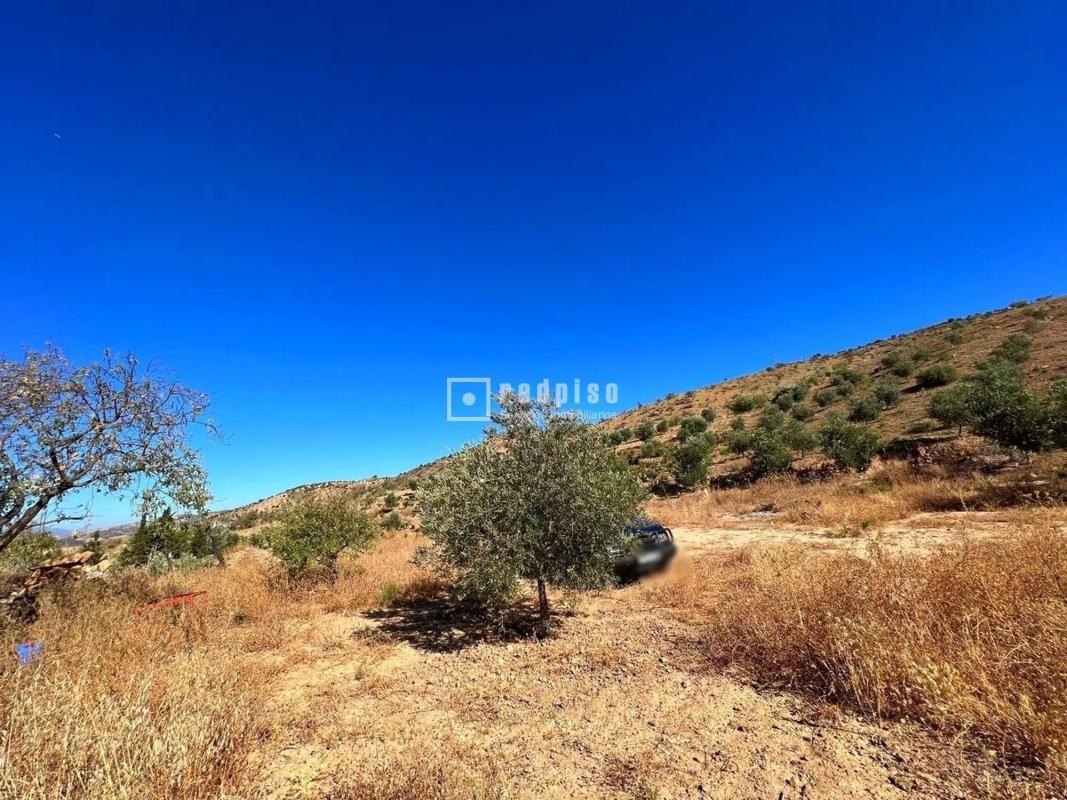Участок земли на продажу в Касабермеха, Малага photo 4