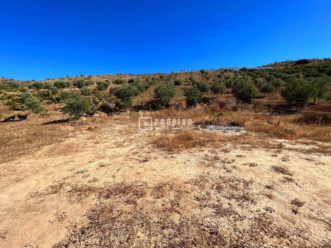 Участок земли на продажу в Касабермеха, Малага photo 5