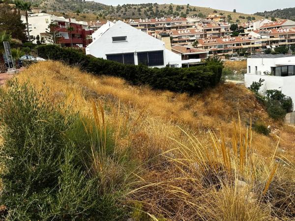 Terreno en calle Oregano, 34 photo 4
