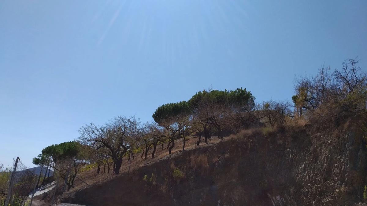 Terreno en venta en Archez, Malaga photo 2