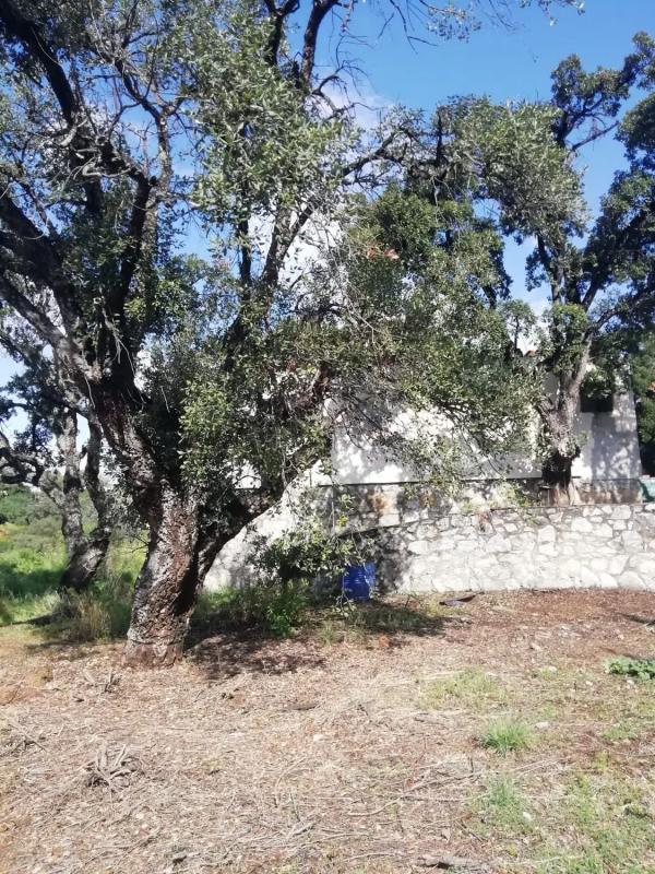 Działka na sprzedaż w Marbella, Malaga photo 1