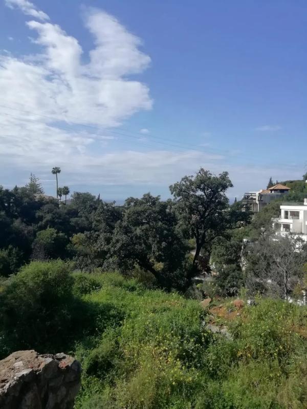 Działka na sprzedaż w Marbella, Malaga photo 2