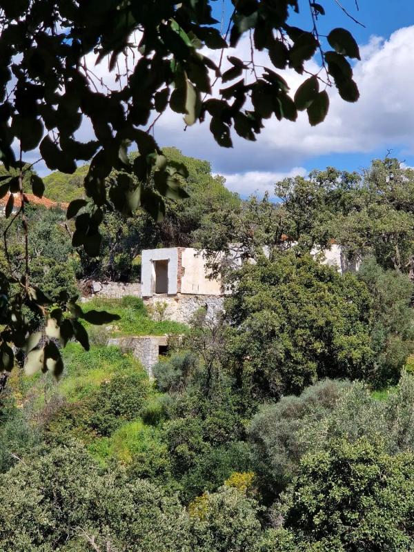 Działka na sprzedaż w Marbella, Malaga photo 4