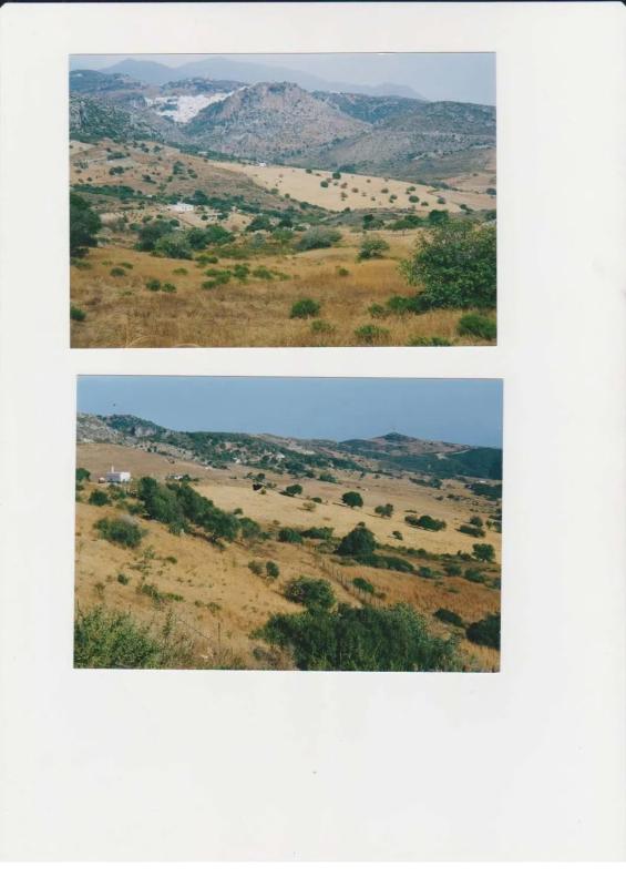 Terreno en venta en Casares, Malaga photo 3
