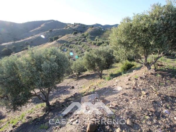 Terreno en Benajarafe photo 2
