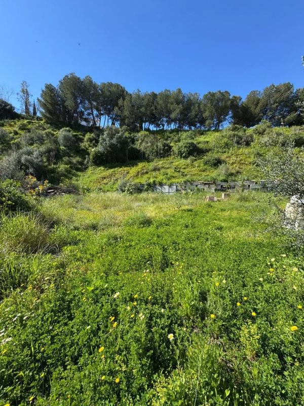 Terreno en venta en Rincón de la Victoria, Malaga photo 2