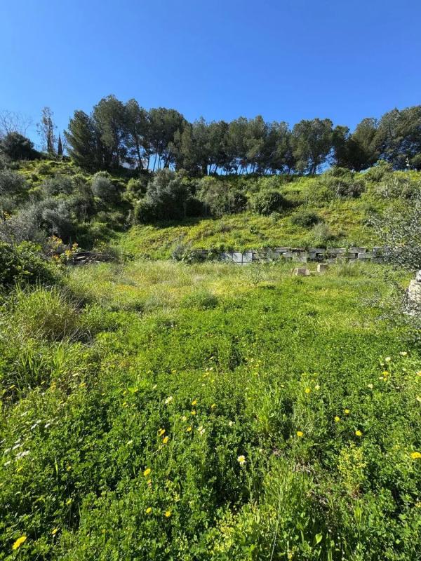 Terreno en venta en Rincón de la Victoria, Malaga photo 5