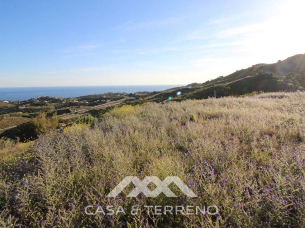 Terreno en venta en Benajarafe, Malaga photo 3
