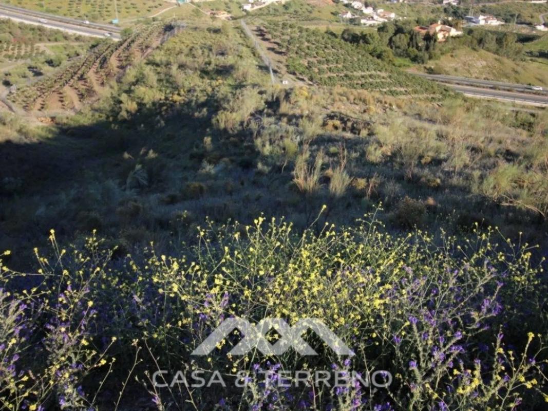Terreno en venta en Benajarafe, Malaga photo 5