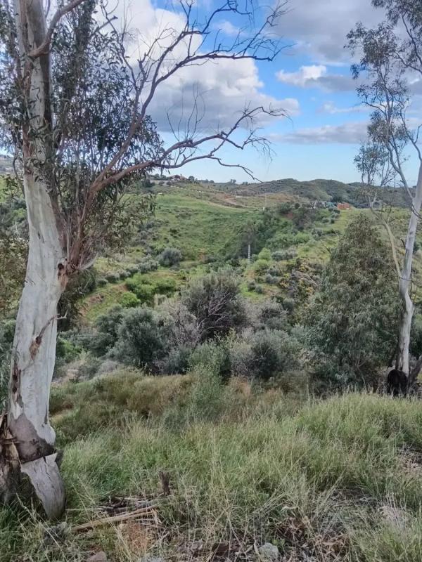 Terreno en venta en Mijas, Malaga photo 1