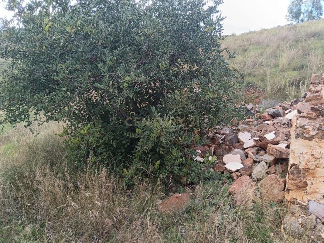 Terreno en venta en Mijas, Malaga photo 2