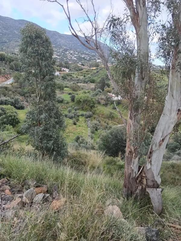 Terreno en venta en Mijas, Malaga photo 5