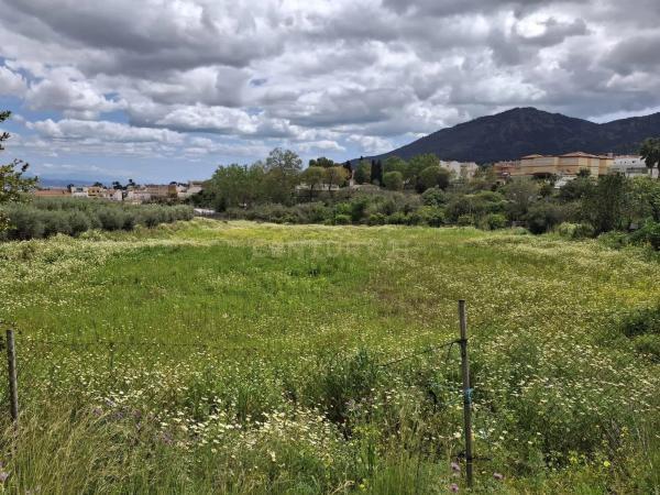 Terreno en camino de la Acequia photo 3