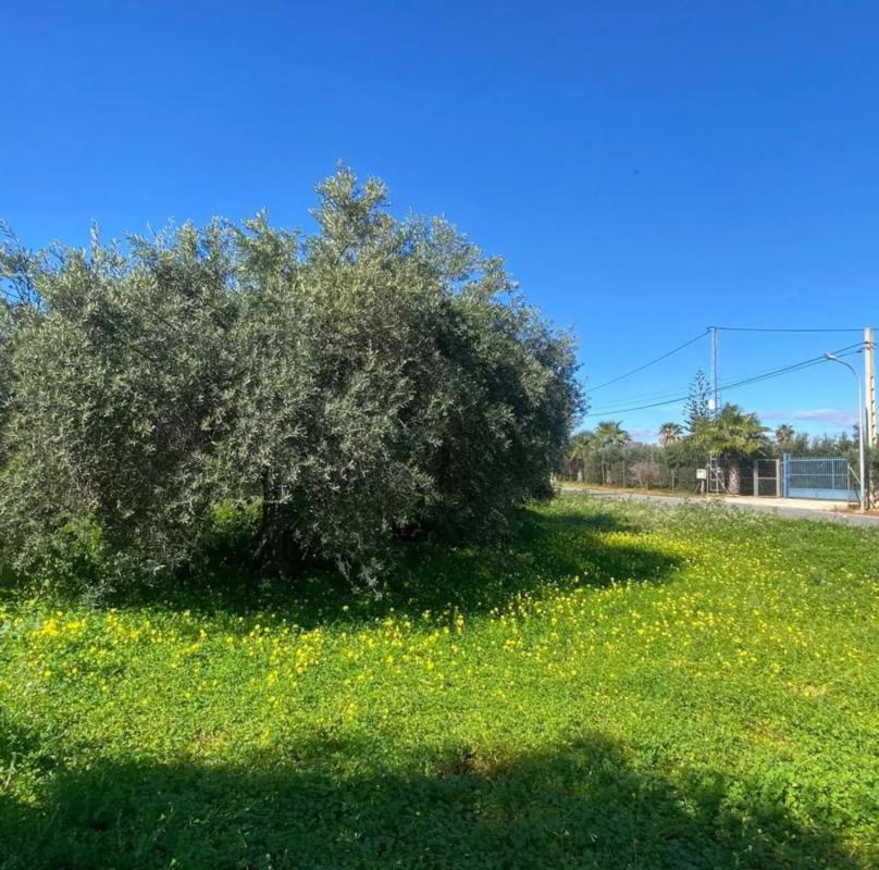 Terreno en venta en Alhaurín de la Torre, Malaga photo 2