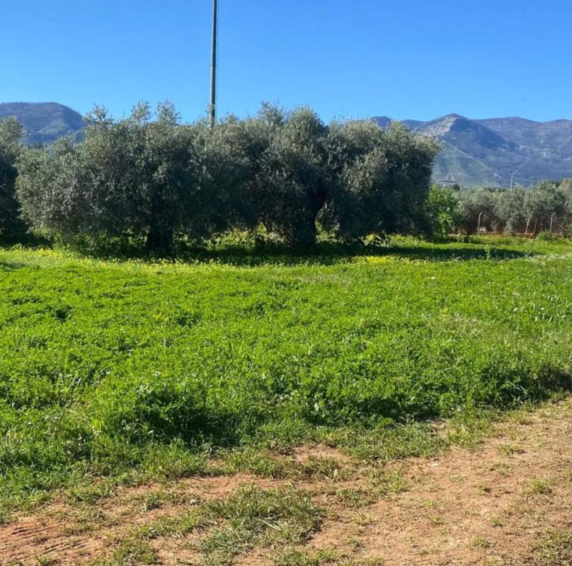 Terreno en venta en Alhaurín de la Torre, Malaga photo 3