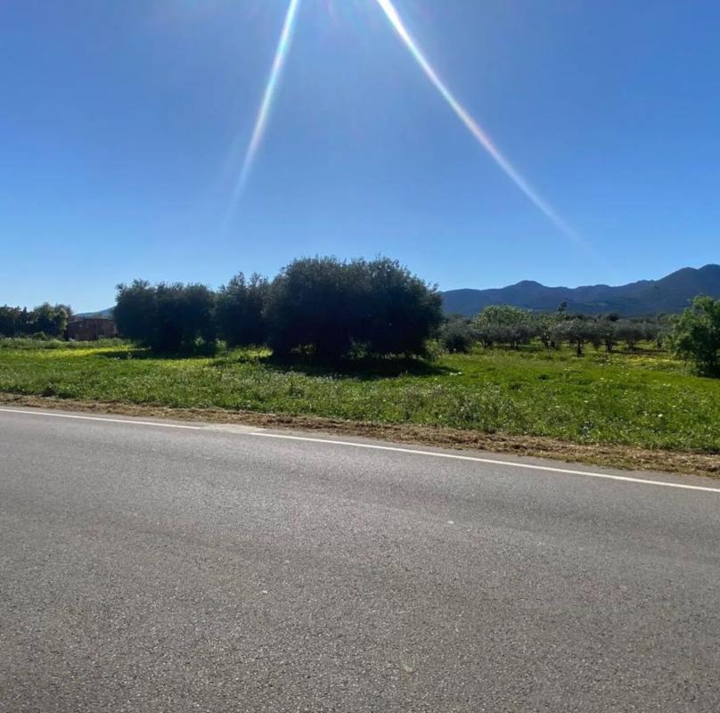 Terreno en venta en Alhaurín de la Torre, Malaga photo 5
