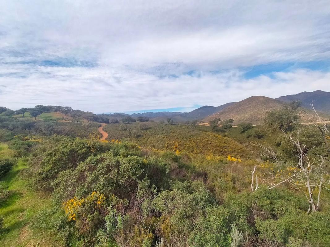 Terreno en venta en Ojén, Malaga photo 1
