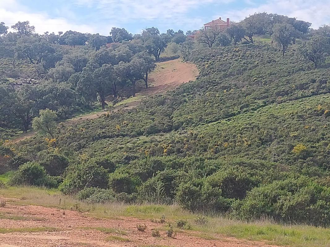 Terreno en venta en Ojén, Malaga photo 4