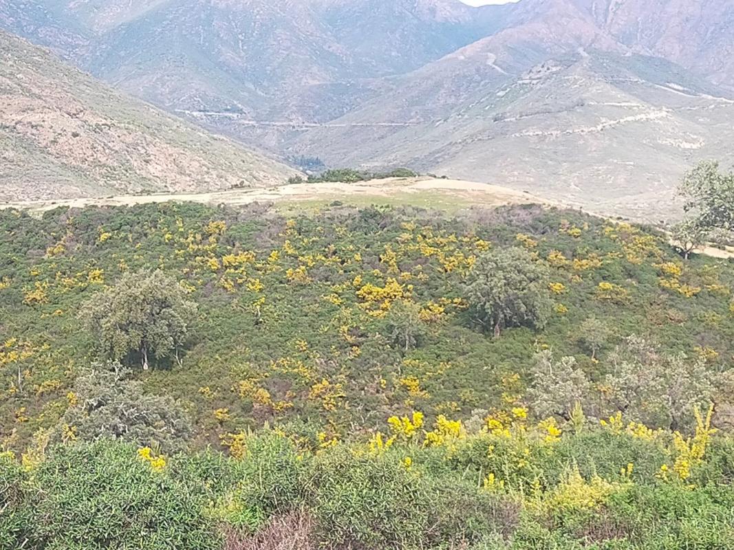Terreno en venta en Ojén, Malaga photo 5