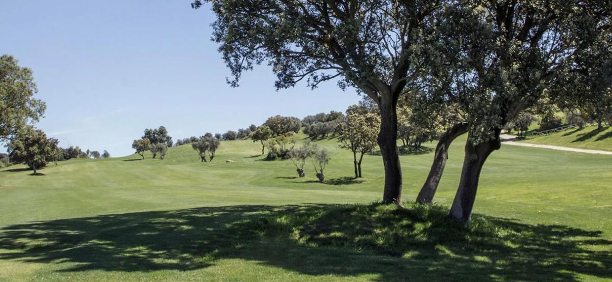 Terreno en venta en Antequera, Malaga photo 3