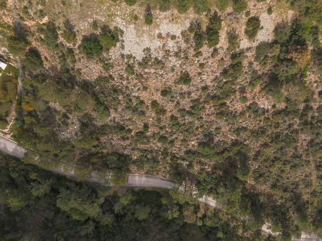 Terreno en venta en Benahavís, Malaga photo 4