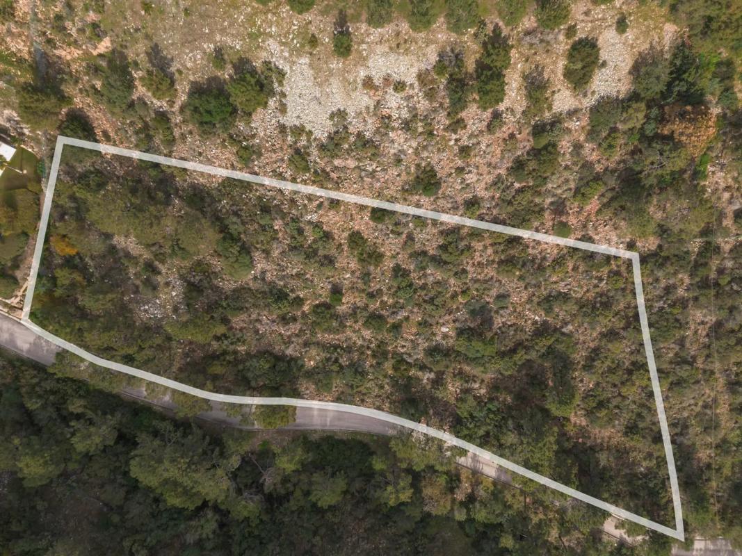 Terreno en venta en Benahavís, Malaga photo 5