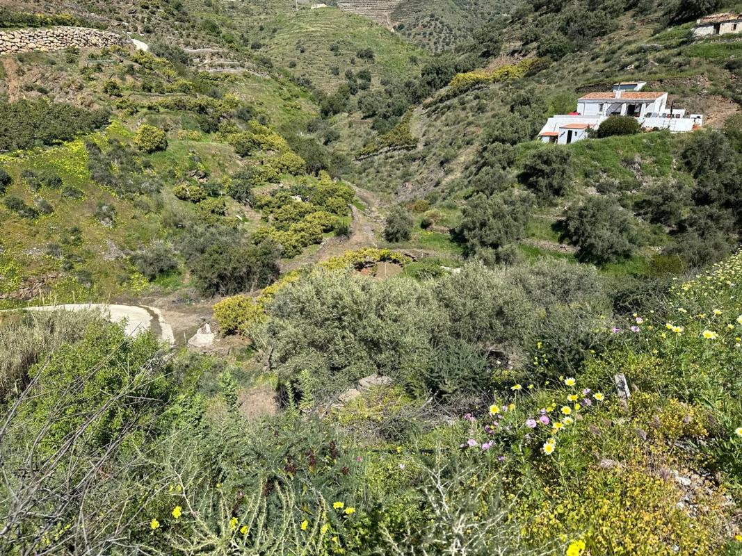 Terreno en venta en Torrox, Malaga photo 5