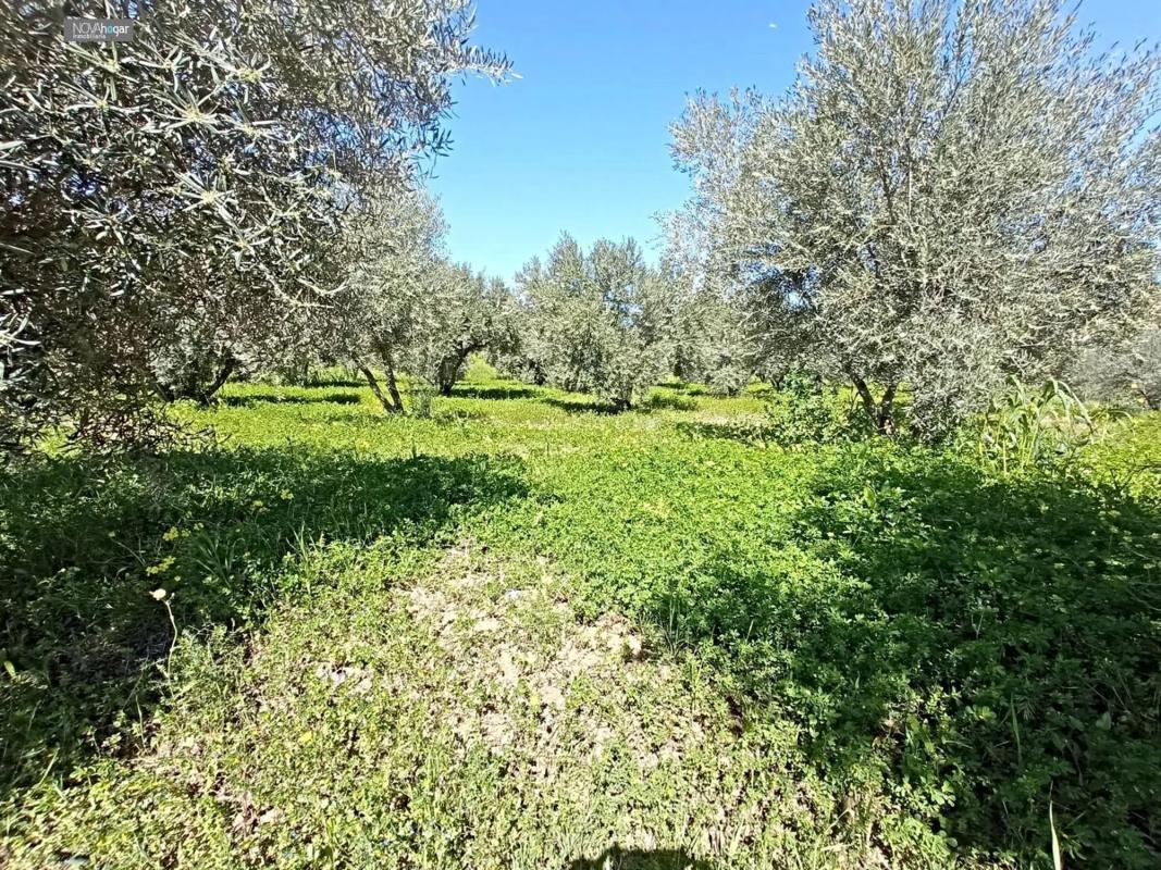 Участок земли на продажу в Малага, Малага photo 3