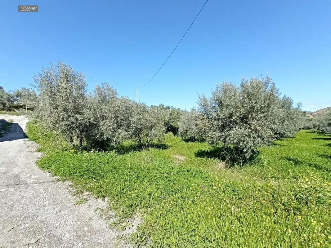 Участок земли на продажу в Малага, Малага photo 5